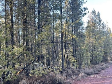 0 Deacon unit 3007168, Chiloquin, OR 97624 - photo 3