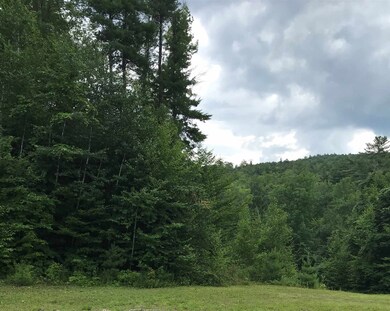 0 Connecticut Heights Rd, Charlestown, NH 03603 - photo 4
