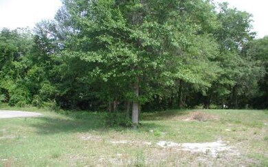 254 NE Oak Forest Glen, Lake City, FL 32055 - photo 2