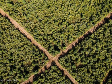 5073 Rollinson Rd, Liberty, MS 39645 - photo 7