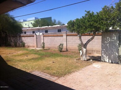 Backyard