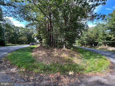 0 Fords Shop Rd, Culpeper, VA 22701 - photo 2