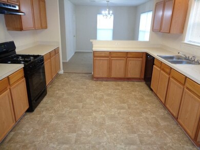 17223 Blushing Pear Ct, Houston, TX 77084 - photo 5