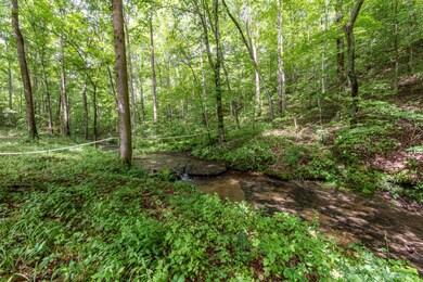 298 Burns Hollow Rd, Waynesboro, TN 38485 - photo 5