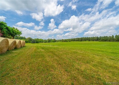 ESTABLISHED PASTURE!