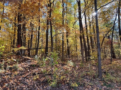 0 State Route 54 unit R1439696, Wayne, NY 14893 - photo 3