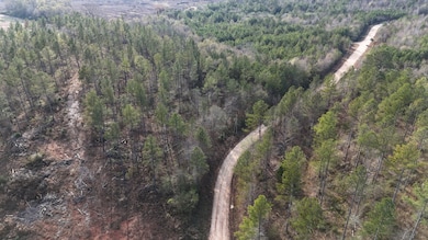 010 County Road 176, Piedmont, AL 36272 - photo 2