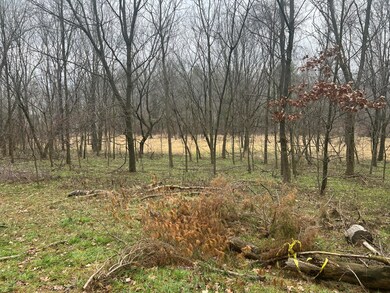 429 Drew St, Paw Paw, MI 49079 - photo 4