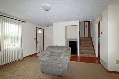 IMG_7519_edited-1