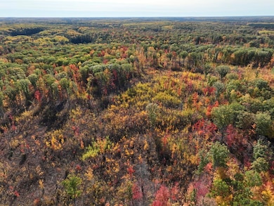 DJI_0233