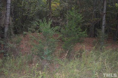 0 Pete Roberson Rd, Pittsboro, NC 27312 - photo 5