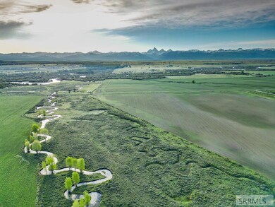 Drone View