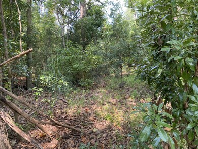 129 Richardson Rd, Crawfordville, FL 32327 - photo 6