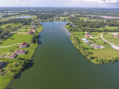 13319 Maple Nut Ln, Dover, FL 33527 - photo 6