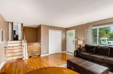 008_707b4d754_g allview rd-11