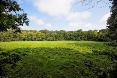 929 Arthur Teague Rd, Siler City, NC 27344 - photo 3