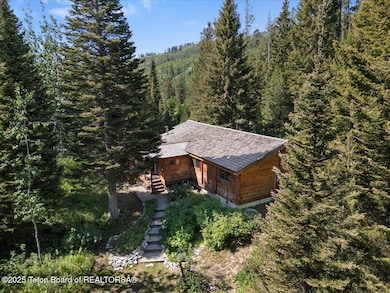 6740 W Lupine Trail, Wilson, WY 83014 - photo 4