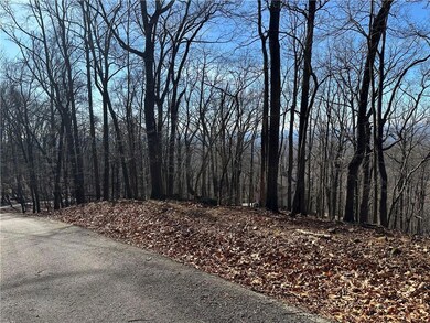 This 1.34 lot has great winter views and should accommodate any floor plan that meets the restrictions of the community.