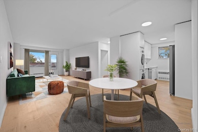 Skyview on the Hudson unit 1C, Bronx, NY 10471 - photo 4