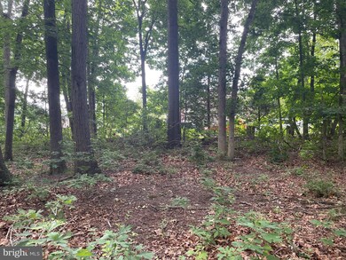 0 unit NJGL2043688, Glassboro, NJ 08028 - photo 4