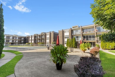 10124 Peach Pkwy unit N208, Skokie, IL 60076 - photo 6