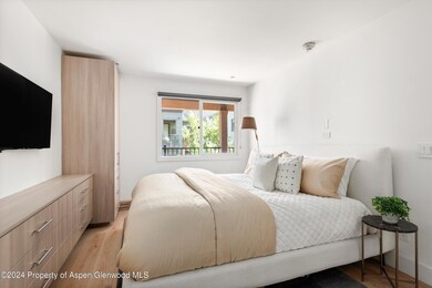 600 E Main St unit 205, Aspen, CO 81611 - photo 6