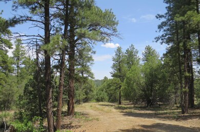 33260 Turkey Creek Ln unit Parcel B50, Trinidad, CO 81082 - photo 3