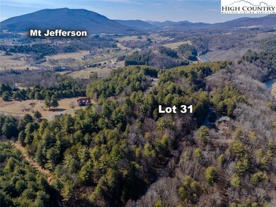 TBD Shawnee Trail, Jefferson, NC 28640 - photo 4