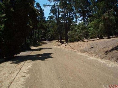 Country Road. Wild Turkeys just left the scene.