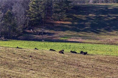 Pastoral approach to Saddle Ridge Estates