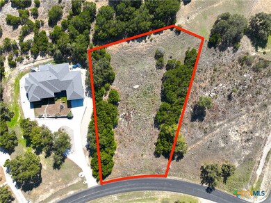 344 Scarlet Ct, Canyon Lake, TX 78133 - photo 5