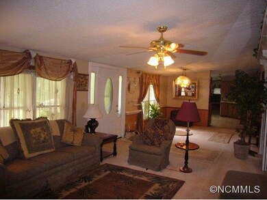 451 Don Felmet Rd, Leicester, NC 28748 - photo 3