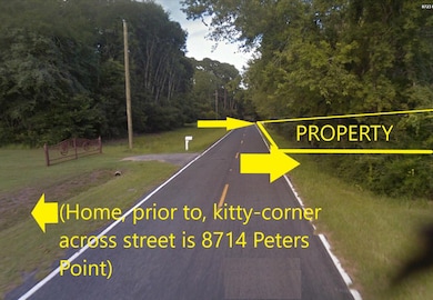 8705 Peters Point Rd, Edisto Island, SC 29438 - photo 7