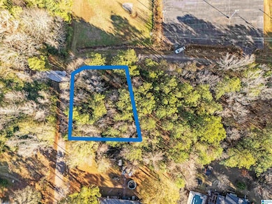 0 Northside Dr, Piedmont, AL 36272 - photo 3