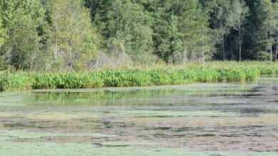 0 Concord Bainbridge Rd unit 259768, Havana, FL 32333 - photo 7