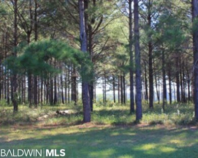 Stand of pines behind the barn is included.
