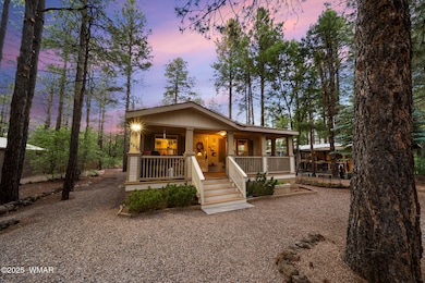 Beautiful Towering Ponderosa Pines