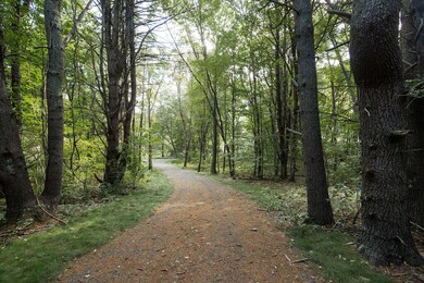 1 Lils Aly, York, ME 03909 - photo 2