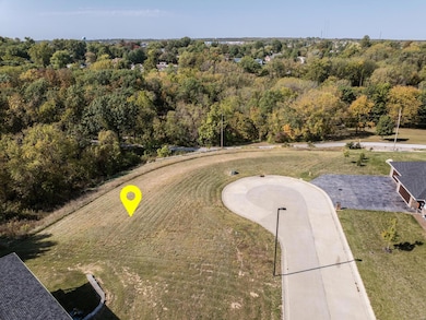 61 Mcintosh Ct, Hannibal, MO 63401 - photo 2