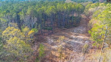 175 Pine Needle Cir, Gaston, SC 29053 - photo 3