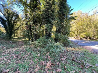 00 Costa Rd unit Tract 16, Costa, WV 25051 - photo 3