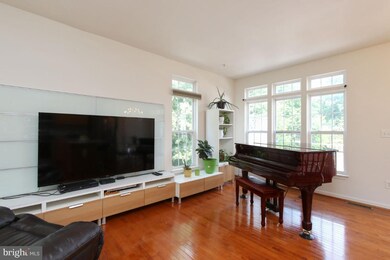 4501 Hidden Stream Ct, Owings Mills, MD 21117 - photo 7