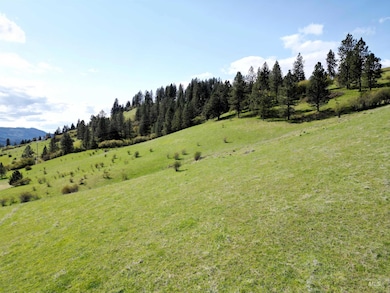 0 Dent Bridge Rd, Orofino, ID 83544 - photo 2