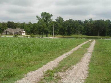 Entrance into 42 AC - very nice incline - hiigh clear area to build - this view is looking from property across the street to lake and home on the other side of the street