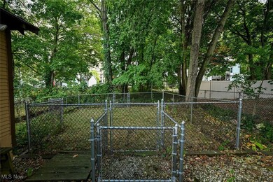 71 Dodge Ave, Akron, OH 44302 - photo 3