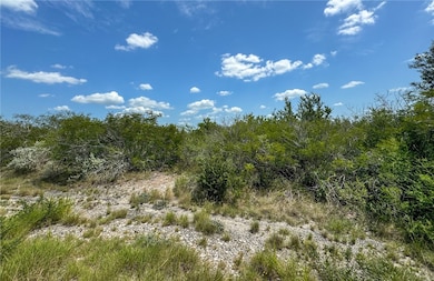 000 Deer Run Trace, Three Rivers, TX 78071 - photo 4