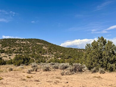 0 Horse Canyon Rd unit 22924872, de Beque, CO 81630 - photo 4