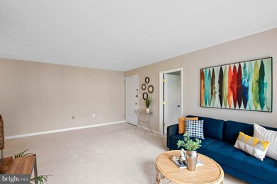 9449 Fairfax Blvd unit 303, Fairfax, VA 22031 - photo 7