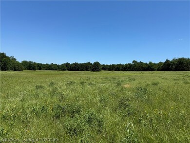TBD CR 4460 Rd, Albion, OK 74521 - photo 4