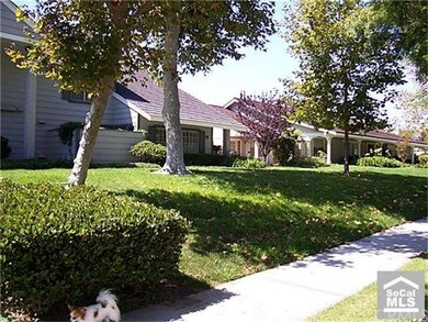 Looking down the tree lined street.